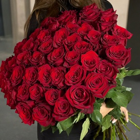 Букет 51 роза Эквадор Эксплорер (60 см) в Чехове