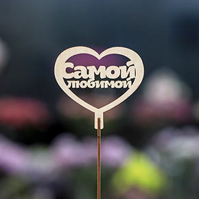 Топпер Самой Любимой в Чехове