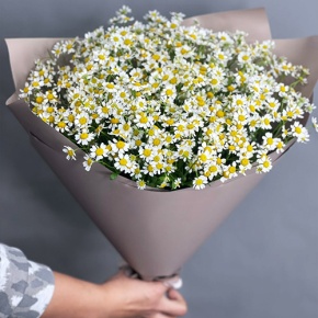 Букет из 17 ромашек танацетум в Чехове