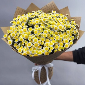 Букет "Моё солнышко" из 31 хризантемы сантини в Чехове