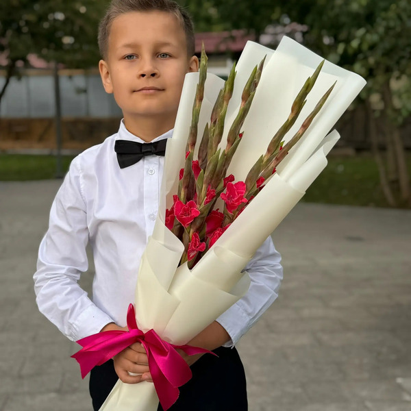 Букет на 1 сентября из 7 малиновых гладиолусов в Чехове