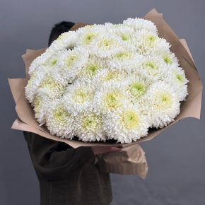 Букет из 27 хризантем Магнум в Чехове