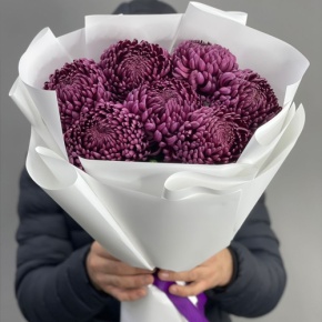 Букет "Винная легенда" из 7 хризантем Бигоуди в Чехове