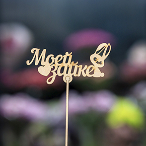 Топпер моей зайке в Чехове