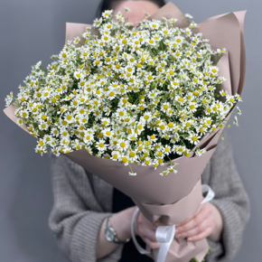 Букет из 17 полевых ромашек в Чехове