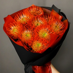 Букет из 9 лейко в Чехове