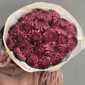 Букет 21 шоколадной хризантемы Бигоуди в Чехове