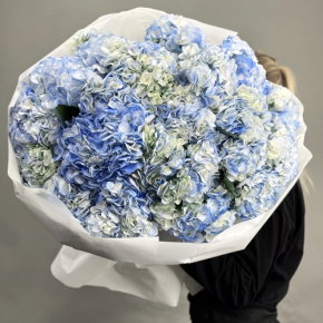 Букет из 23 синих гортензий в Чехове