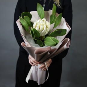 Букет "Великолепная" из экзотичной протеи в Чехове