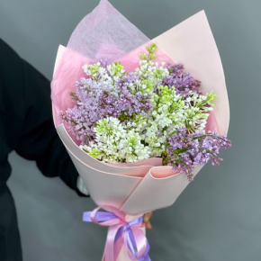 Букет из 11 веток сирени микс в Чехове