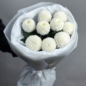 Букет из 9 белых хризантем Момоко в Чехове