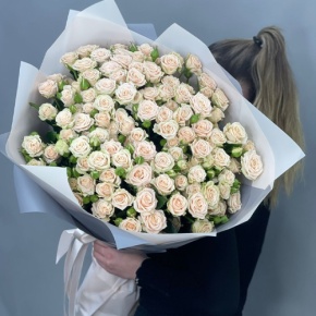 Букет из 25 кремовых кустовых роз (70 см) в Чехове