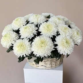Композиция в корзине из 25 хризантем Магнум в Чехове