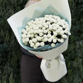 Букет из 25 хризантем Ньютон в Чехове