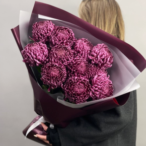 Букет "Изобилие" из 11 винных хризантем Бигоуди в Чехове