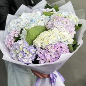 Букет из 9 Голландских гортензий микс в Чехове