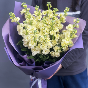 Букет из 15 лимонных маттиол в Чехове
