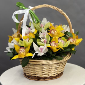 Композиция в корзине из 25 орхидей микс в Чехове