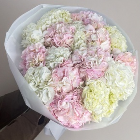 Букет из 17 нежных гортензий в Чехове
