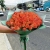 Букет из 51 мандариновой розы (40 см) в Чехове Букет из 51 мандариновой розы (40 см) в Чехове