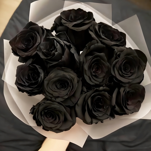 Букет "Черная королева" из 11 черных роз Эквадор (60 см) в Чехове