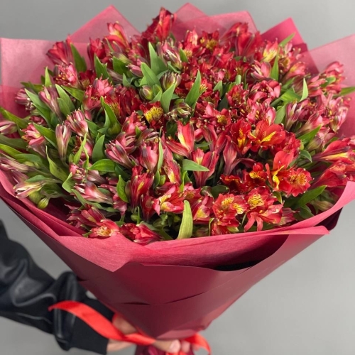 Монобукет из 25 красных альстромерий в Чехове