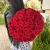 Букет 51 красной розы 50 см в Чехове Букет 51 красной розы 50 см в Чехове