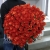 Букет 101 коралловая роза (60 см) в Чехове Букет 101 коралловая роза (60 см) в Чехове