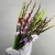 Букет из 25 гладиолусов микс в Чехове Букет из 25 гладиолусов микс в Чехове