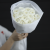 Букет из 15 белоснежных ранункулюсов в Чехове