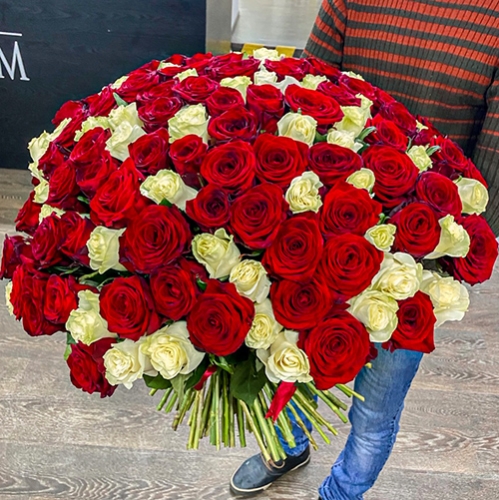 Букет 151 роза красный и белый микс (60 см) в Чехове