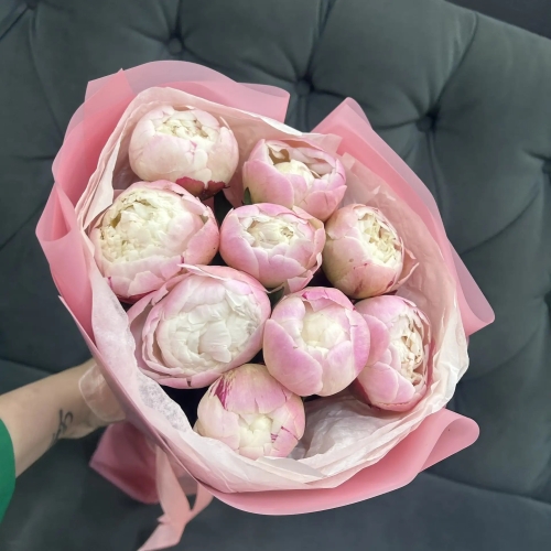 Букет из 9 нежных пионов Гардения в Чехове