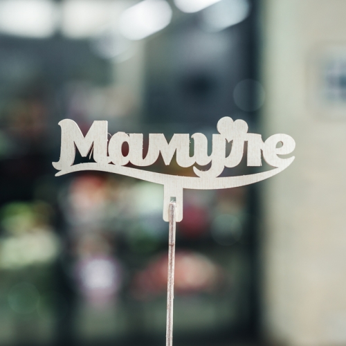 Топпер Мамуле в Чехове