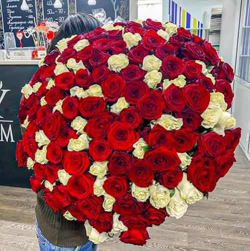 Букет 151 роза красный и белый микс (60 см) в Чехове