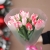 Букет "Фламинго" из 11 пионовидных тюльпанов в Чехове Букет "Фламинго" из 11 пионовидных тюльпанов в Чехове