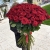 Букет из 101 красной розы (90 см) в Чехове Букет из 101 красной розы (90 см) в Чехове