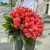 Букет 51 роза коралл (60 см) в Чехове Букет 51 роза коралл (60 см) в Чехове