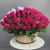 Композиция в корзине из 151 малиновой розы в Чехове Композиция в корзине из 151 малиновой розы в Чехове