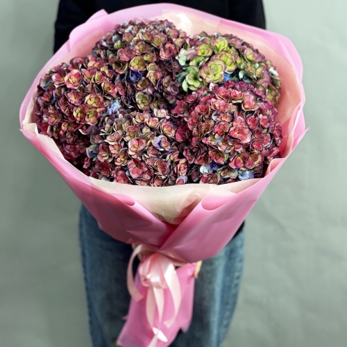 Букет из 5 космических Голландских гортензий в Чехове