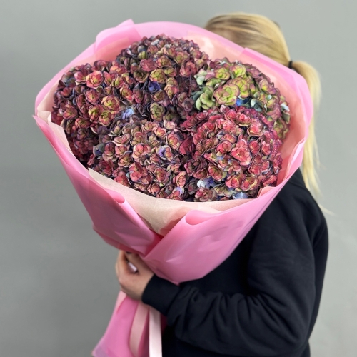 Букет из 5 космических Голландских гортензий в Чехове